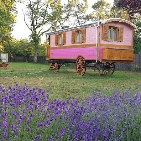 Roulottes O Bois D'mon Coeur Bed & Breakfast Bussac-Foret